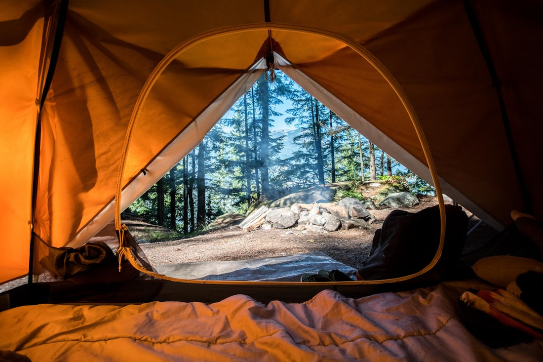 10 Natural Ways to Repel Mosquitoes This Summer (That Actually Work)
